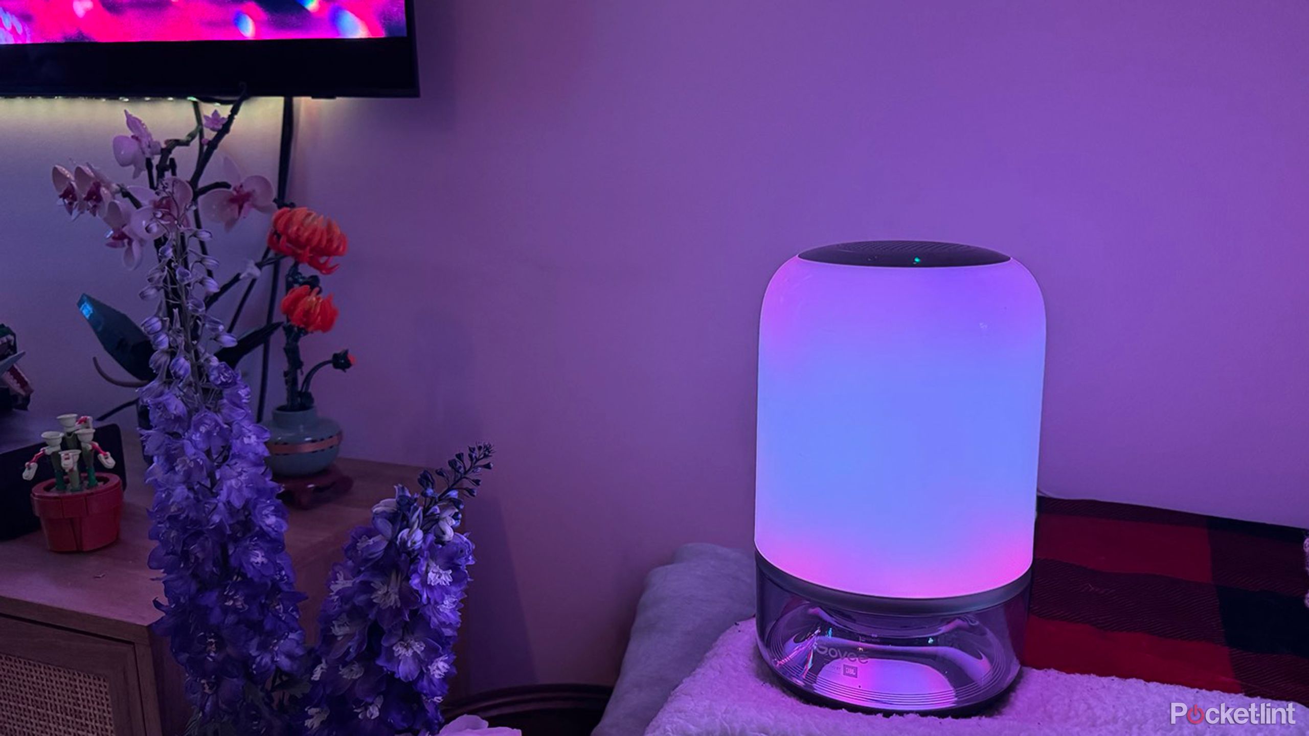 This lamp majorly upgraded my home theater experience. Yes, I'm serious